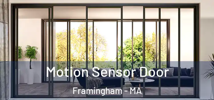  Motion Sensor Door Framingham - MA
